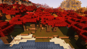 Dark Oak Forest