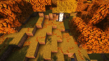 Leaf Litter