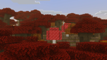 Dark Oak Forest