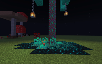 Warped Ely Shroom!