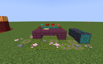 Mushroom Picnic
