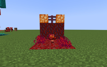 Crimson Ely Shroom!