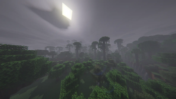 jungle...