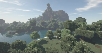 Forest