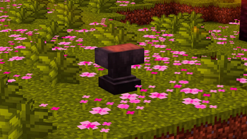 Looks Like an Anvil...