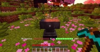 No XP? No Problem