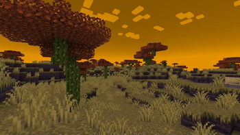 Savanna Biome