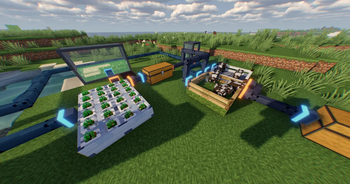 Husbandry + Butcher Bed