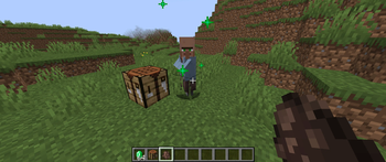 Derrick Bum villager