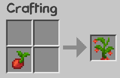 Crafting Recipe