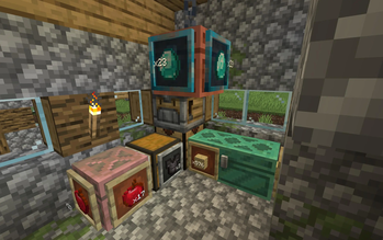 Showcase