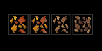 Leaf Litter Stages