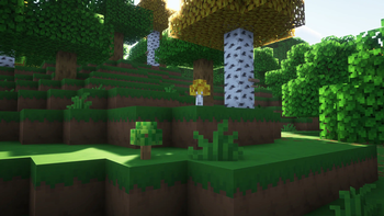 Oak and Birch Saplings