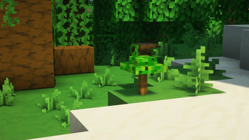 Jungle Sapling