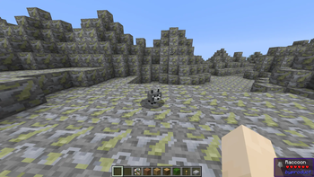 Raccoon in Landfill biome