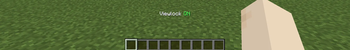 Viewlock enabled