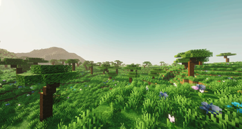 Biome : SOLEA GROVE