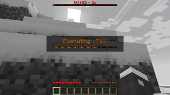 Execution Screen