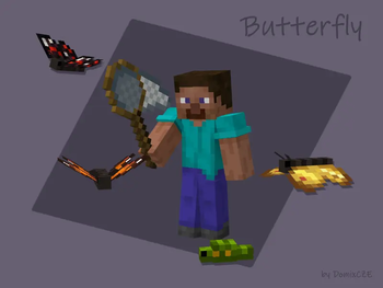Showcase image for butterfly & caterpillar