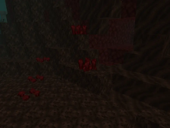 Nether wart