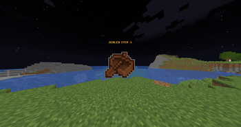 Scaled ITems
