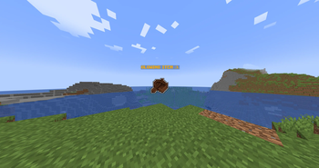 Glowing Items