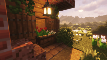 plant boxes