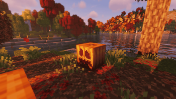 pumkin
