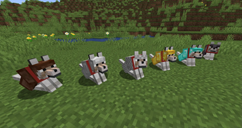 Wolves with armor