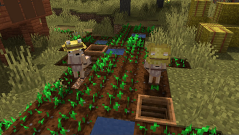 Fennec Farmers