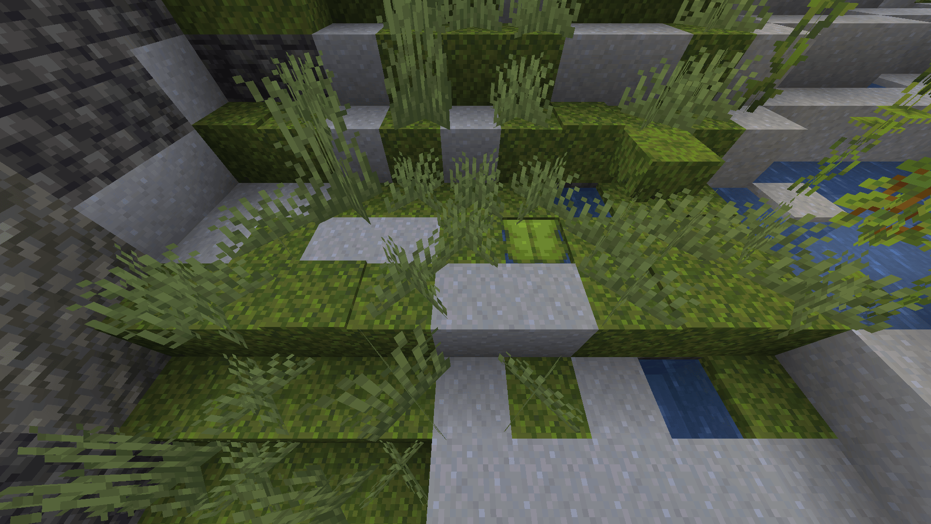 Lush Caves