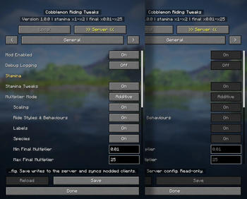 Admin vs Player view in multiplayer