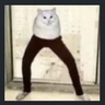 Benglmin