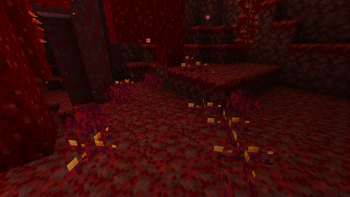 Crimson Berry Sprouts