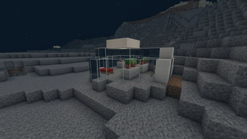 Start Room with saplings