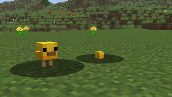 Baby Chickens