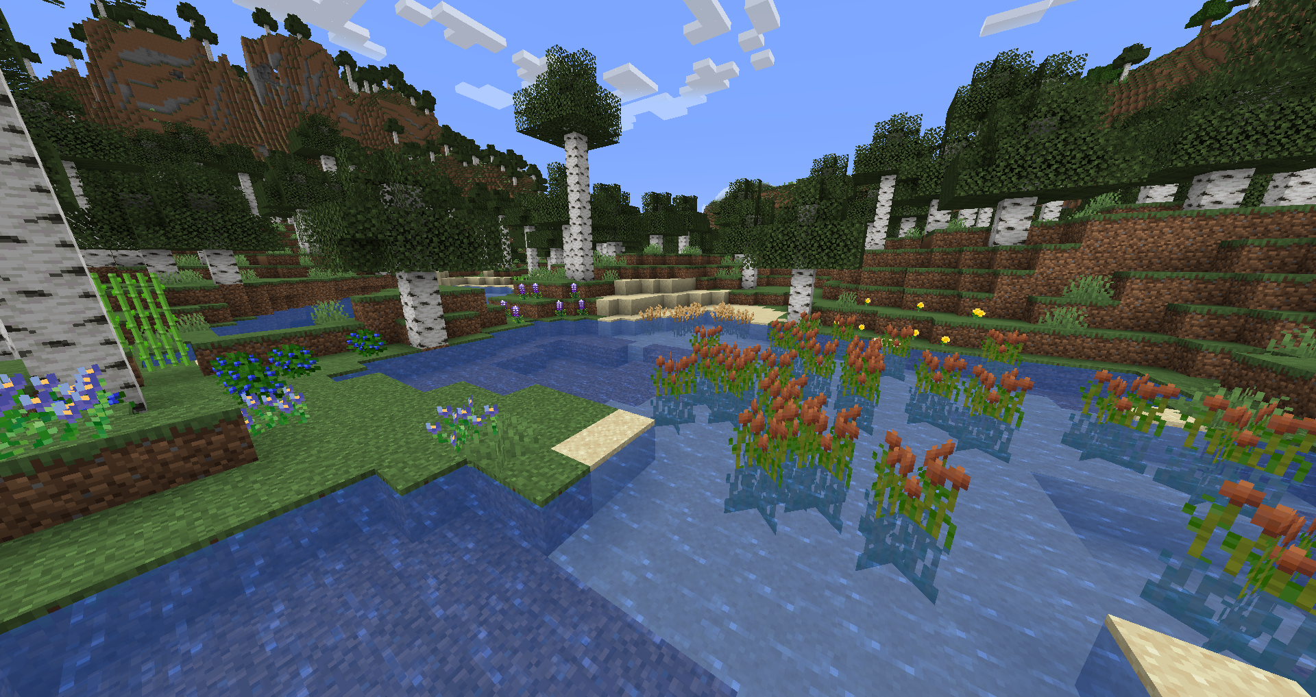 cinchcraft-gallery