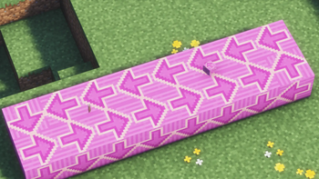 Belt in Action (Banner)