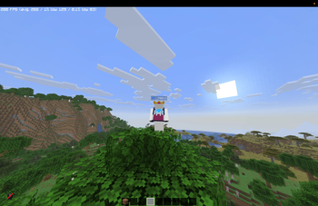 Cape