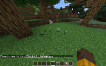 zorbab 1 project image