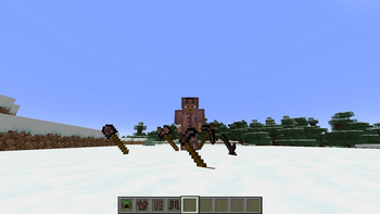 Dirt Items