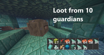 Elder Guardian Drops
