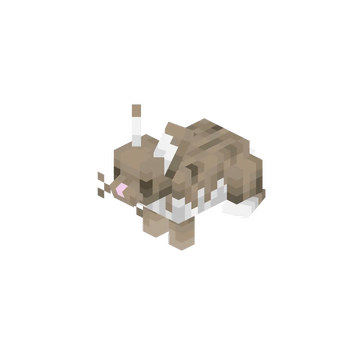 Salt Rabbit