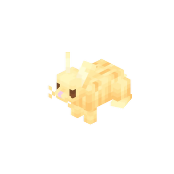 Gold Rabbit