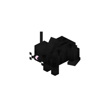 Black Rabbit