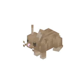 Brown Rabbit