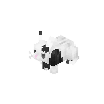 Black and White Rabbit