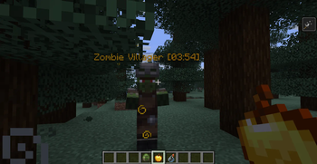 Villager cure countdown