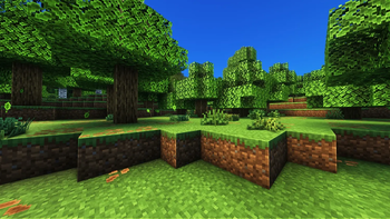 Oak Forest
