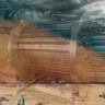 TFMG Duststorm